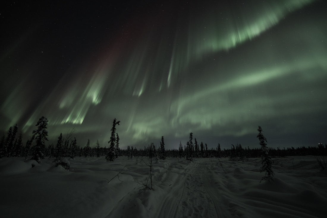 What does the aurora REALLY look like?