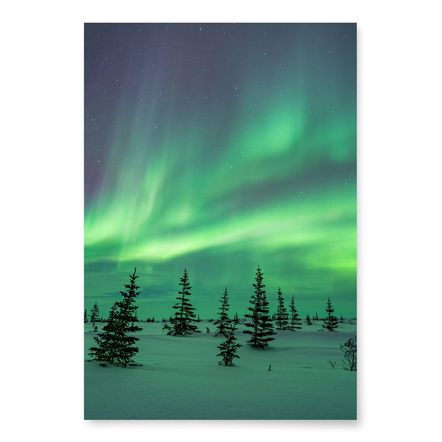 Aurora Borealis Wrapping Paper Sheets