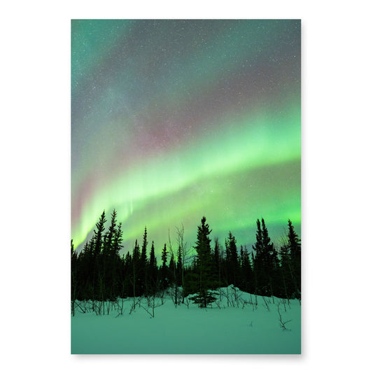 Aurora Borealis Wrapping Paper Sheets