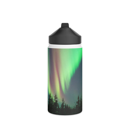 Aurora Borealis Stainless Steel Water Bottle, Standard Lid