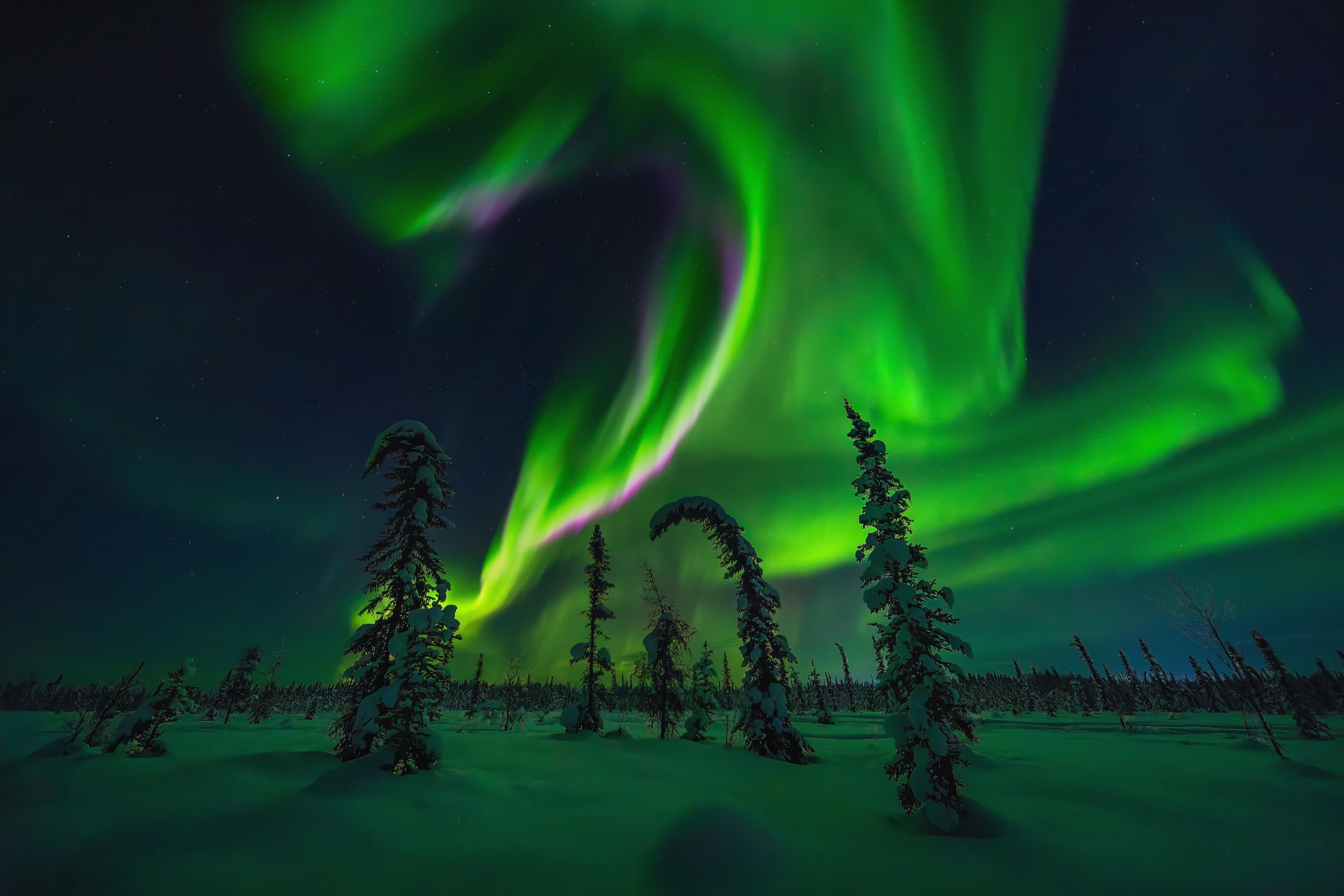 Maia S Aurora Tours Theauroraguy