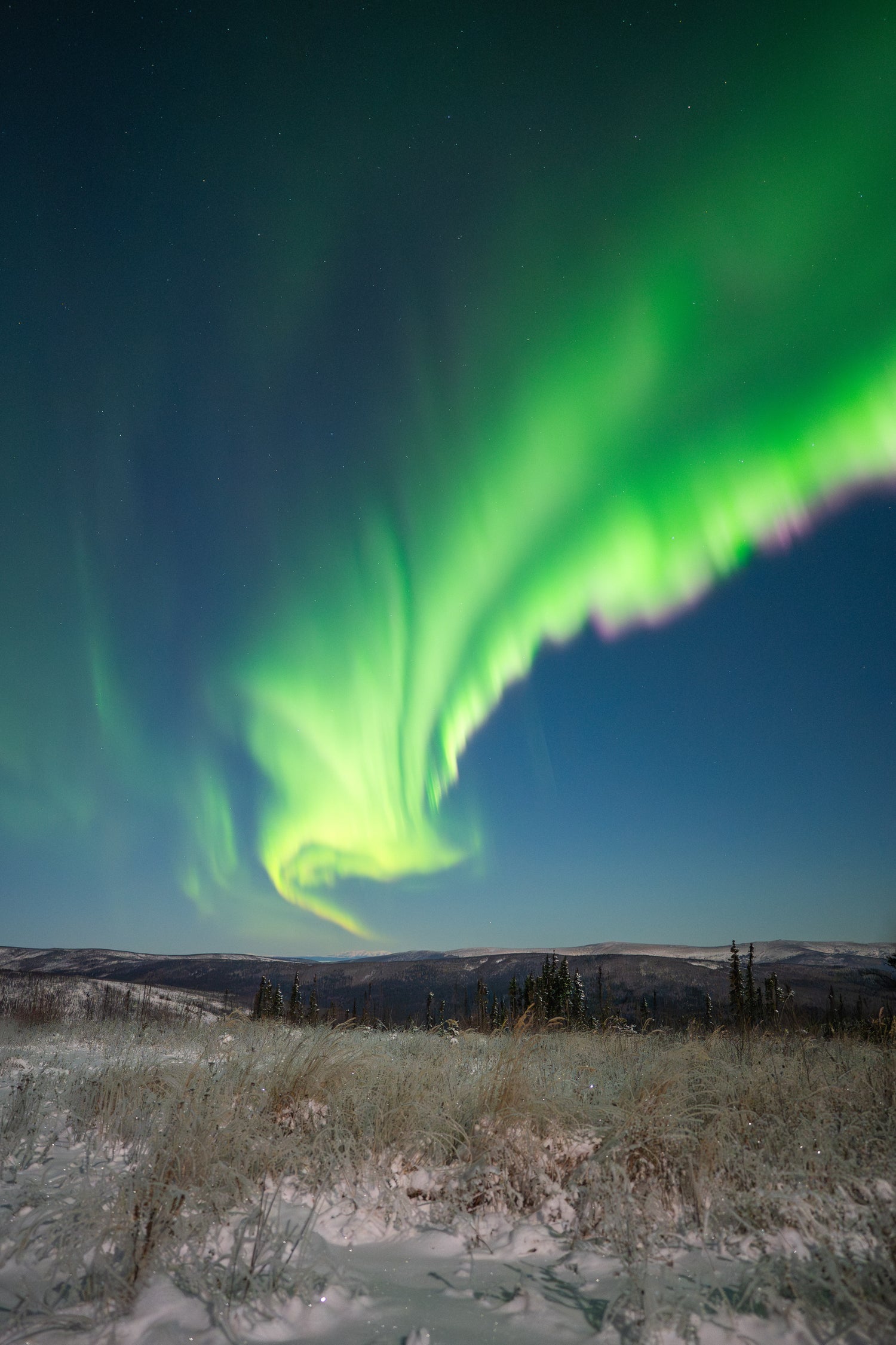 Aurora Tours Theauroraguy