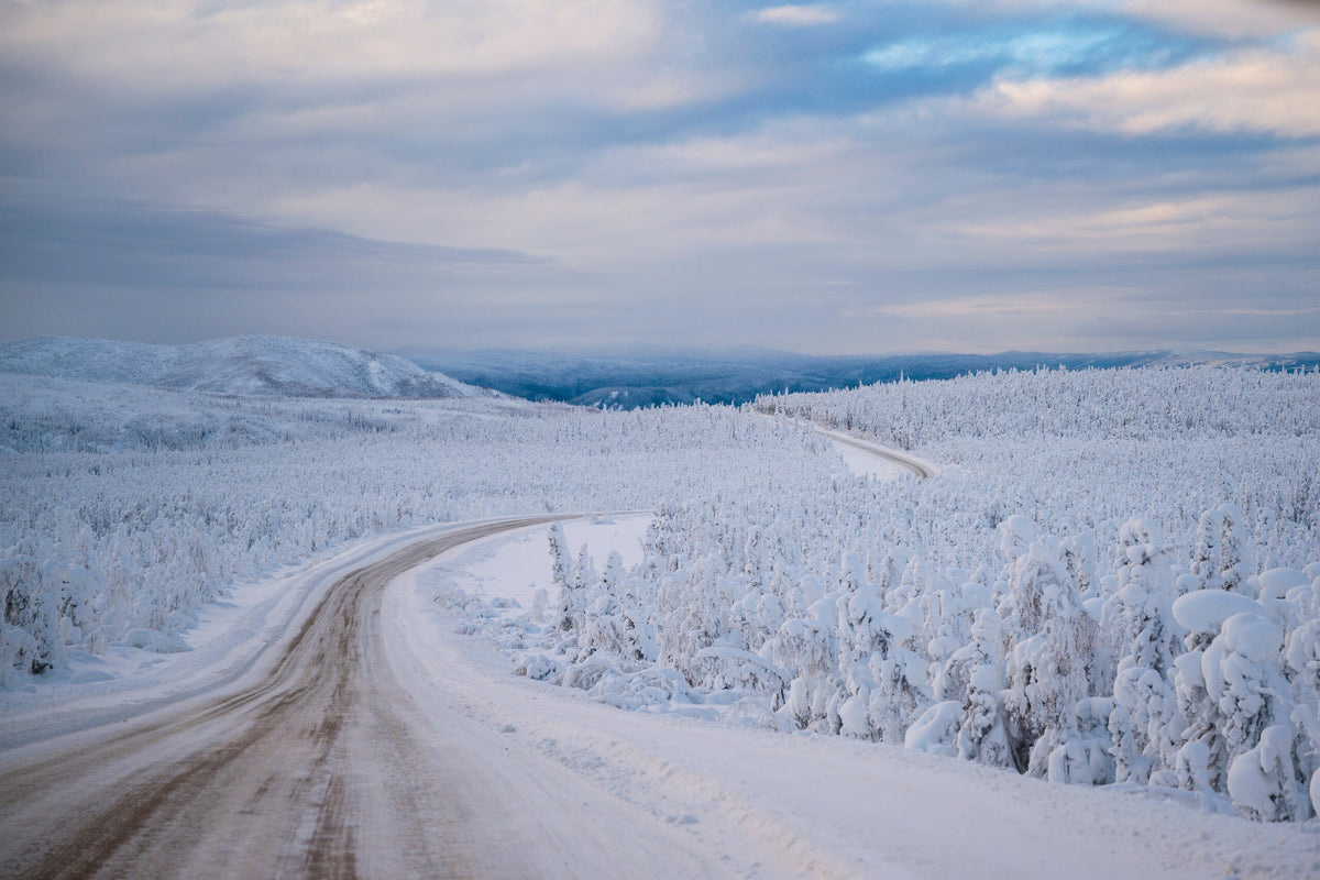 A snow-covered curve of the Dalton Highway running through frost-covered forest on the drive to the Arctic Circle