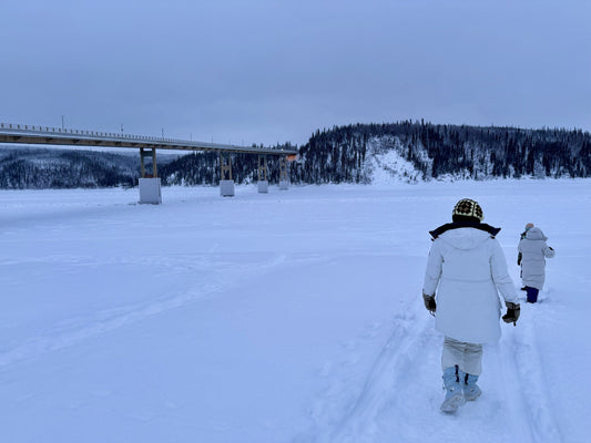 Two tour guests in winter parkas walking on snow near a highway bridge over a frozen river on the Dalton Highway, Alaska 6