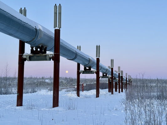 The trans-Alaska pipeline crossing snowy ground at a tour stop on the Dalton Highway north of Fairbanks 3