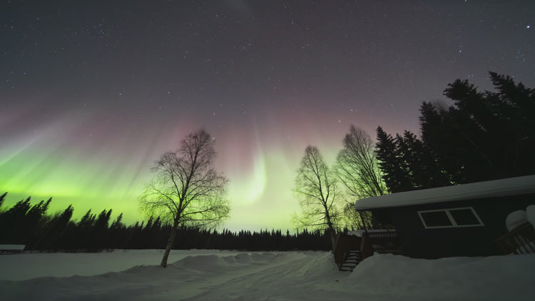 Chasing The Aurora Workshop Fairbanks March 2025 Theauroraguy